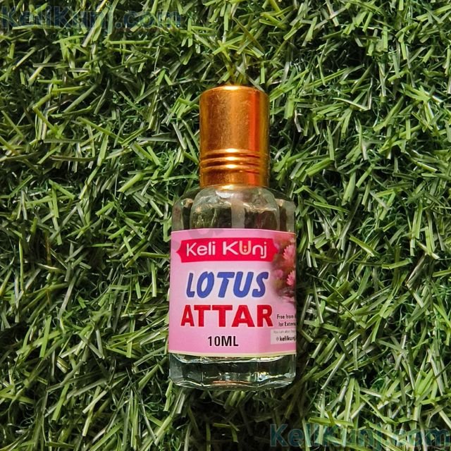 Lotus Fragrance Attar Lotus Lust Pink Lotus Attar 10ml Handcrafted Fragrance From Keli Kunj Vrindavan