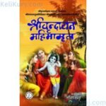 Shri Vrindavan Mahima Amrit - By Shri Prabodhananda Saraswati Pad