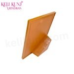 Premanand Ji Maharaj With Priya Pritam back