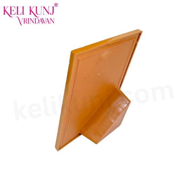 Premanand Ji Maharaj With Priya Pritam back