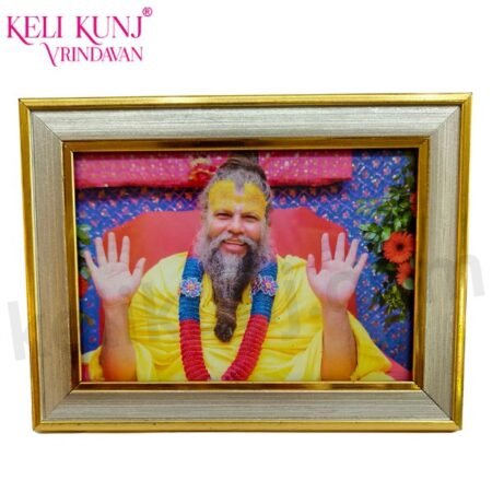 Shri Hit Premanand Govind Sharan Ji Maharaj Photo