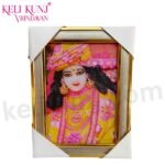 Shri Hit Sajni Ju Maharaj Photo