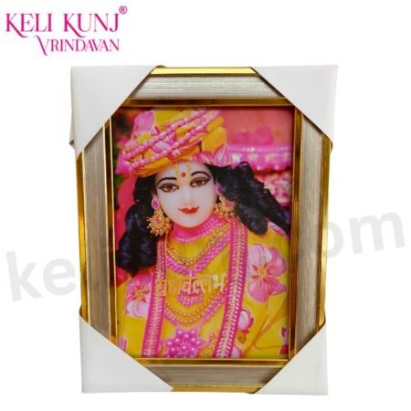 Shri Hit Sajni Ju Maharaj Photo