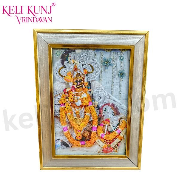 Shri Radhavallabh Lal Sharad Utsav Photo(Chavi) 5 x 7