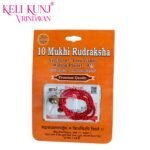 10 Mukhi Rudraksha