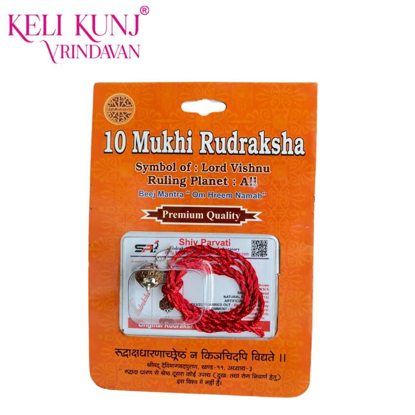 10 Mukhi Rudraksha