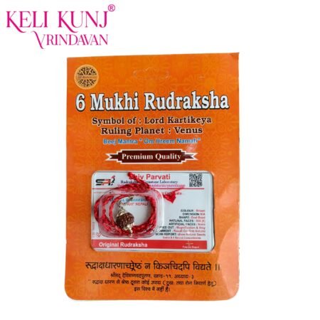 6 Mukhi Rudraksha