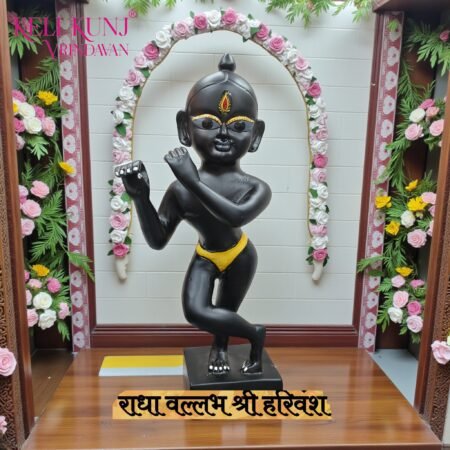 Shri Radhavallabh lal Vigrah Murti