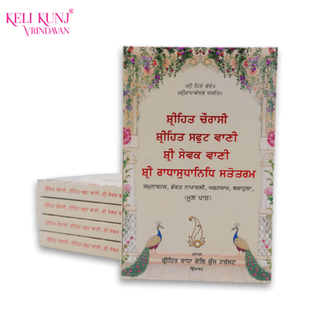 Shri Hit Chaurasi In Punjabi