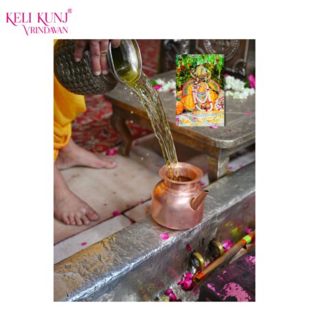 Shri Radhavallabh Lal Ji Charnamrit