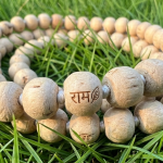 Tulsi Mala Benefits — Spiritual and Scientific Perspective