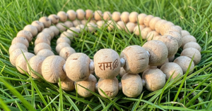 Tulsi Mala Benefits — Spiritual and Scientific Perspective